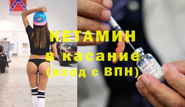 сатива Беломорск