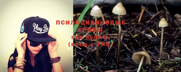 герыч Мегион