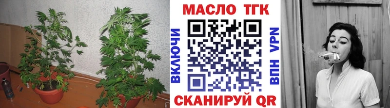 Дистиллят ТГК гашишное масло  Ядрин 