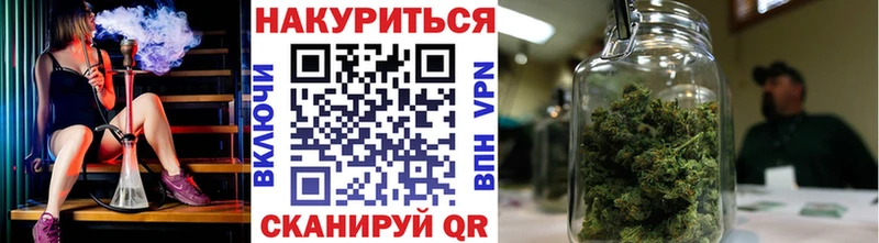 OMG ссылки  Ядрин  МАРИХУАНА ГИДРОПОН 